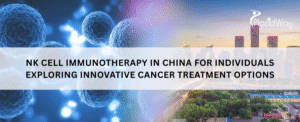 NK Cell Immunotherapy in China for Individuals Exploring Innovative Cancer Treatment Options